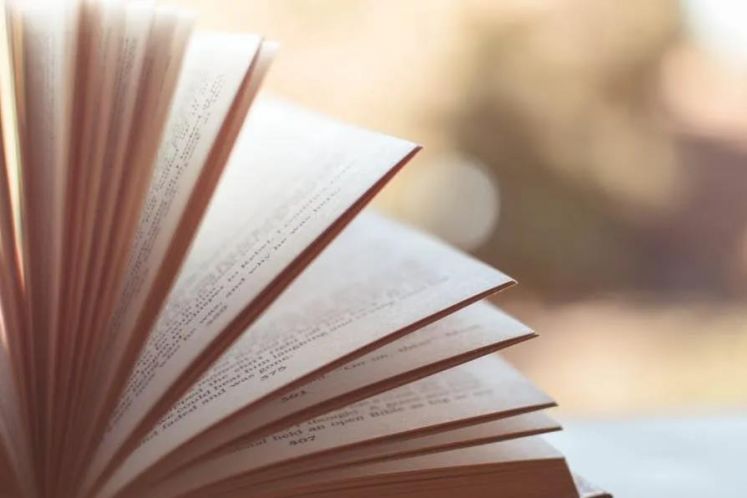 嚴(yán)偉坤：破產(chǎn)信息化手段運用的思考