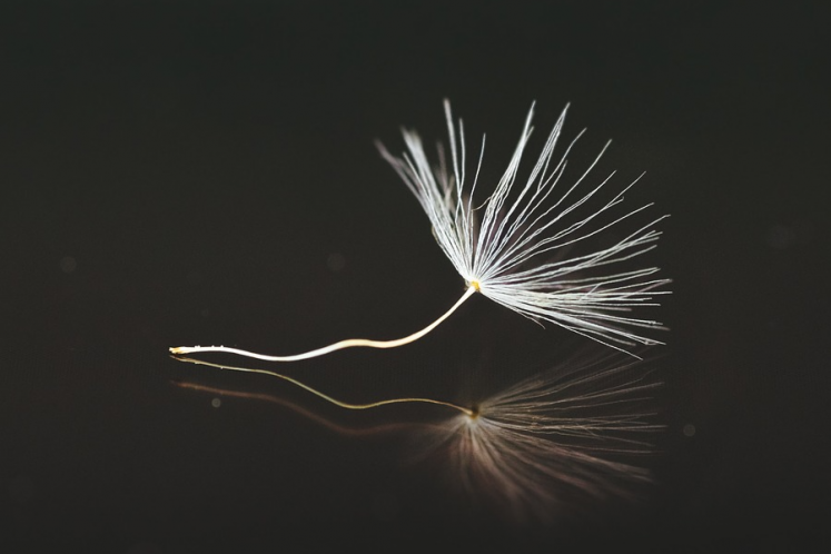 “云南康旅”1900億負(fù)債沉重，擬提前兌付全部債券推進重組